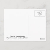 Carte Postale N'importe comment rapide vous allez, vous n'y (Dos)