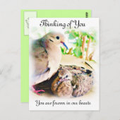 Carte Postale N'importe quelle occasion_ (Devant / Derrière)