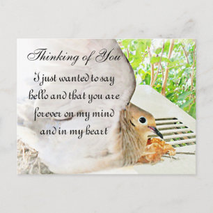 Carte Postale N'importe quelle occasion_