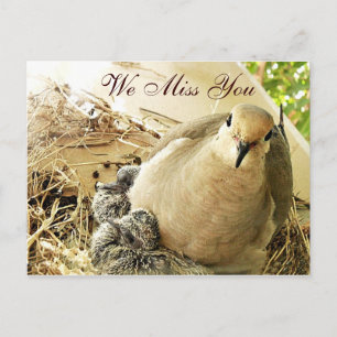 Carte Postale N'importe quelle occasion_