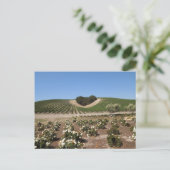 Carte Postale Niner Estates Heart Hill et White Roses (Debout devant)