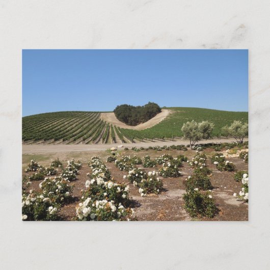 Carte Postale Niner Estates Heart Hill et White Roses (Devant)