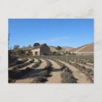 Niner Estates, Paso Robles, CA Event Center