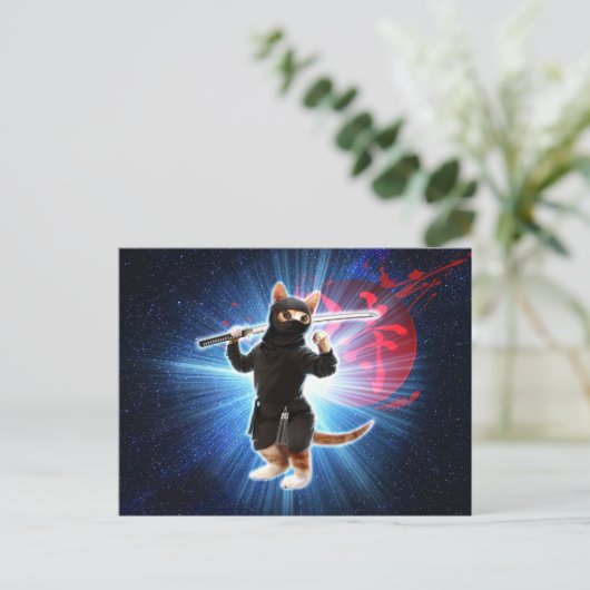 Carte Postale Ninja Chat dans l'espace. (Debout devant)
