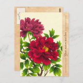 Carte Postale Nishimura Hodo Peony fleurs japonaises art (Devant / Derrière)