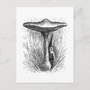 Carte Postale Nisse Elf Derrière un tabouret