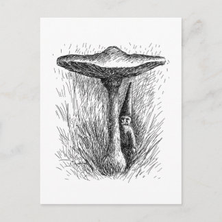 Carte Postale Nisse Elf Derrière un tabouret