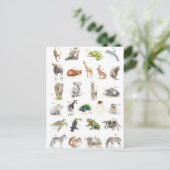 Carte Postale Niveau ABC (Debout devant)