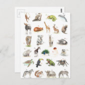 Carte Postale Niveau ABC (Devant / Derrière)