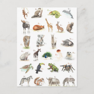 Carte Postale Niveau ABC