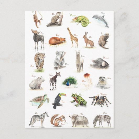 Carte Postale Niveau ABC (Devant)