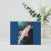 Carte Postale NJ Shark CB (Debout devant)