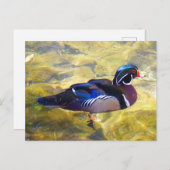 Carte postale no 1-2 (Devant / Derrière)