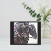 Carte postale no 1 des Chevaux d'ébauche (Debout devant)