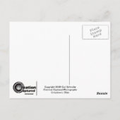 Carte postale 'No Bull' (Dos)