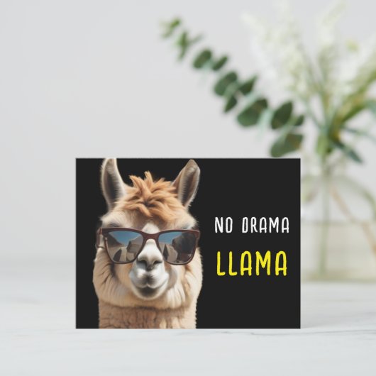 Carte Postale No Drama Llama Cool Alpaca avec lunettes de soleil (Debout devant)