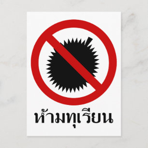 Carte Postale NO Durian ⚠ Thai Langue Script ⚠