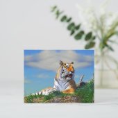 Carte Postale Nobel Tiger (Debout devant)