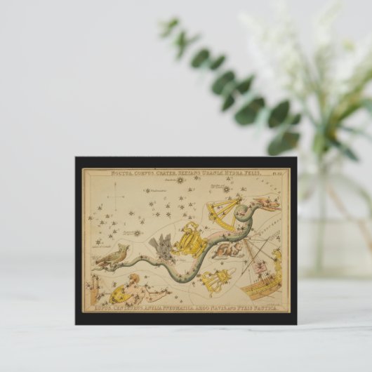 Carte Postale Noctua, Corvus, Hydra, Felis, Lupus, Centaurus, &c (Debout devant)