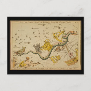 Carte Postale Noctua, Corvus, Hydra, Felis, Lupus, Centaurus, &c