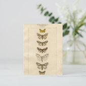 Carte postale Nocturnes (Debout devant)