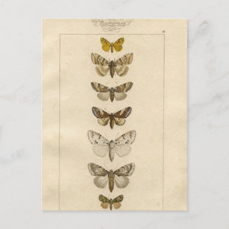 Carte postale Nocturnes