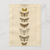 Carte postale Nocturnes (Devant)