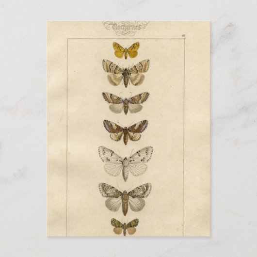 Carte postale Nocturnes (Devant)