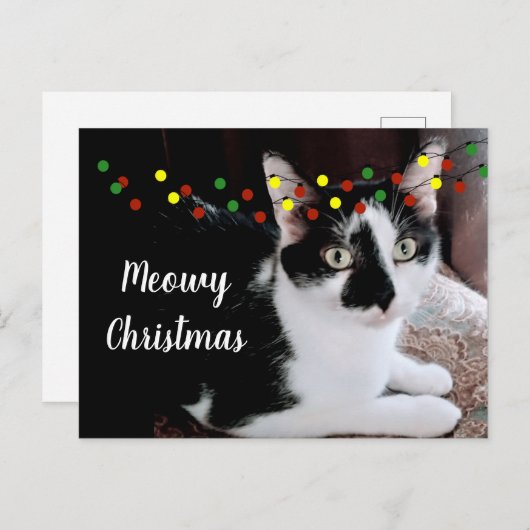 Carte Postale Noël (Devant / Derrière)