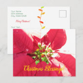 Carte postale Noël 004 - Carte postale (Devant / Derrière)