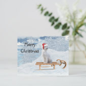 Carte Postale Noël aux canicules blanches (Debout devant)