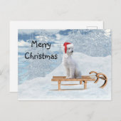 Carte Postale Noël aux canicules blanches (Devant / Derrière)