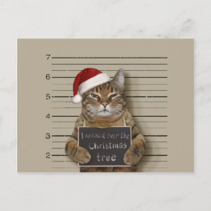 Cartes Postales Humour Prison Originales Zazzle Be
