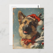 Carte Postale Noël berger allemand (Devant / Derrière)
