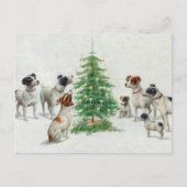 Carte Postale Noël | Carl Reichert (Devant)