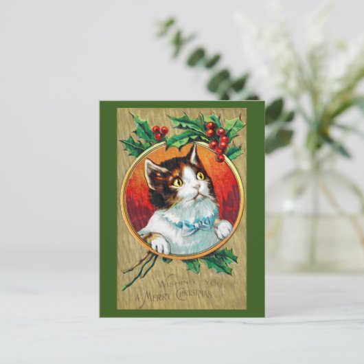 Carte Postale Noël, Chat de Noël (Debout devant)