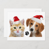 Carte Postale Noël Chien Chat Cute Animaux de Noël Noël Noël (Devant / Derrière)