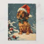 Carte Postale Noël Dachshund (Devant)