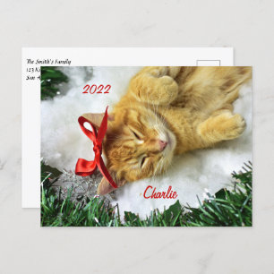 Carte Postale Noël de chat Tabby Orange Personnalisé