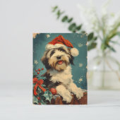 Carte Postale Noël de Collie barrée (Debout devant)