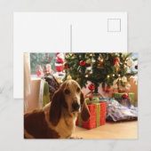 Carte Postale Noël de la ferme Basset (Devant / Derrière)