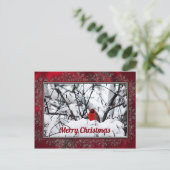 Carte Postale Noël de la photo cardinale Redbird (Debout devant)