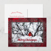 Carte Postale Noël de la photo cardinale Redbird (Devant / Derrière)