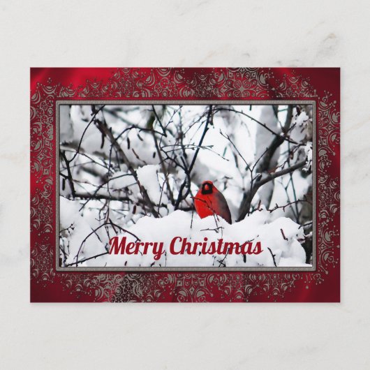 Carte Postale Noël de la photo cardinale Redbird (Devant)