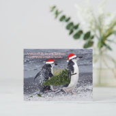 Carte postale Noël de la plage Antarctique (Debout devant)
