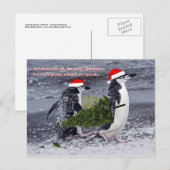 Carte postale Noël de la plage Antarctique (Devant / Derrière)