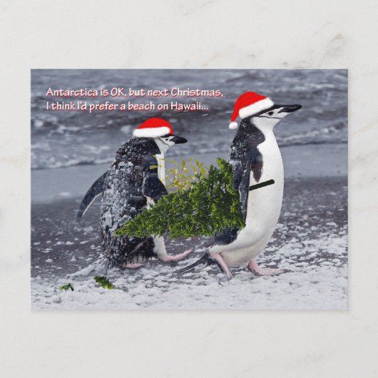 Carte postale Noël de la plage Antarctique (Devant)
