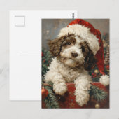 Carte Postale Noël de Lagotto Romagnolo (Devant / Derrière)
