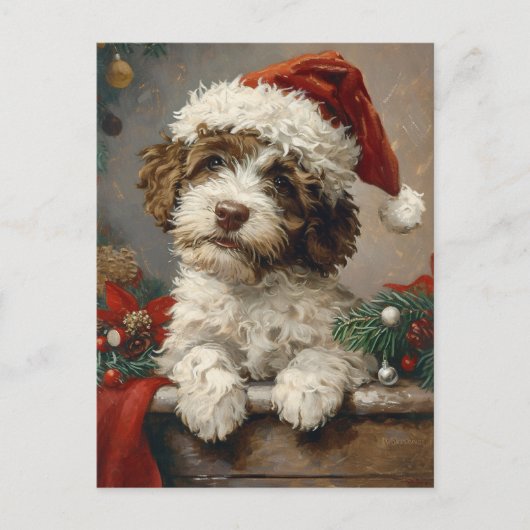 Carte Postale Noël de Lagotto Romagnolo (Devant)