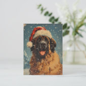 Carte Postale Noël des chiens de Leonberger (Debout devant)
